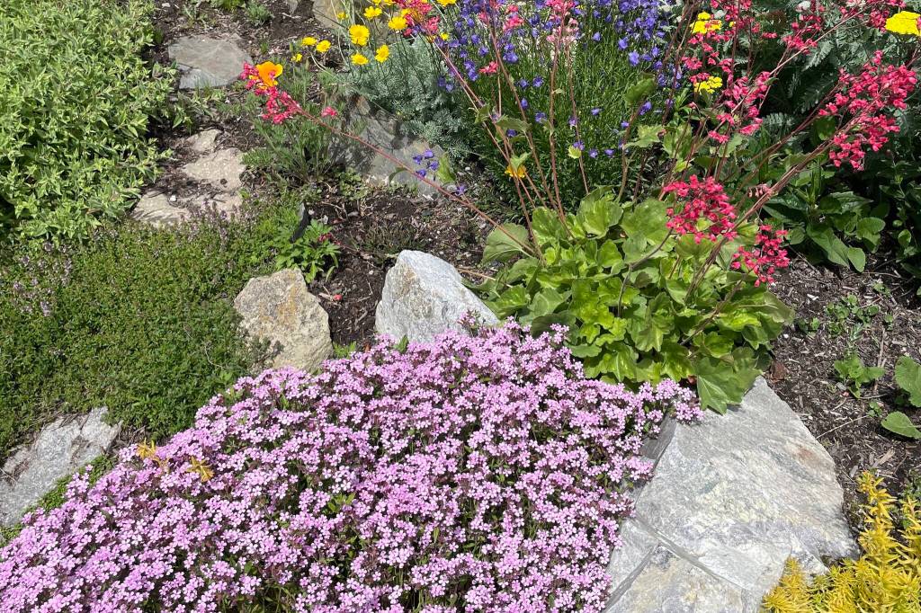 Annual xeriscape plant sale set for Kelowna Xeriscape gardens are full of colour that evolves with the seasons, yet conserves water, an important consideration in a drought year like this. Select xeriscape plants at the OXA spring plant sale May 9 in Kelowna. (Contributed)