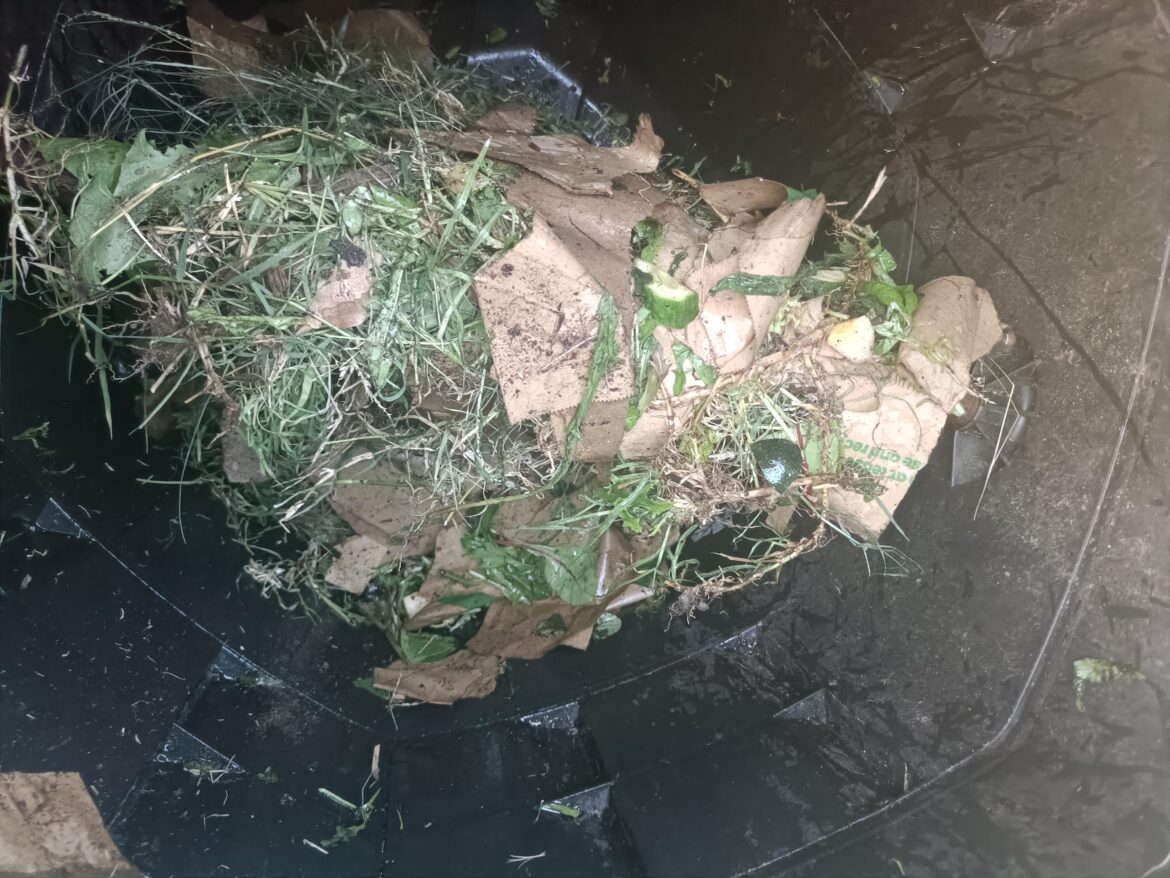 First time Composter (Aus)