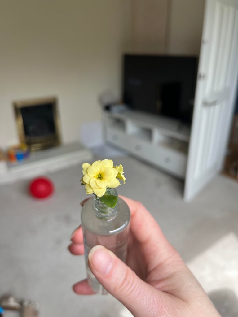 How to propagate this?