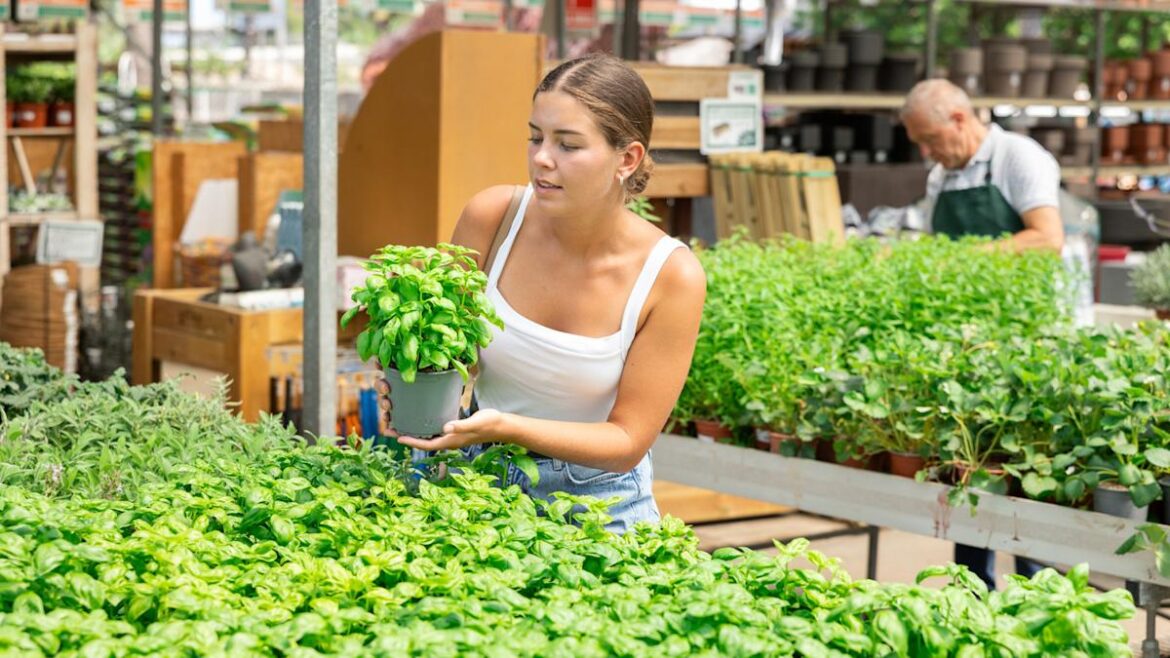 This Gardener Turned A Store-Bought Basil Plant Into A Towering Work Of Art This Gardener Turned A Store-Bought Basil Plant Into A Towering Work Of Art