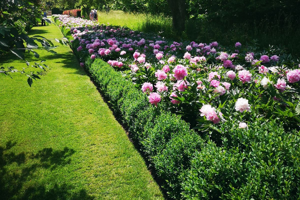 These simple tips are ideal for turning your flower beds into a more colourful, vibrant space