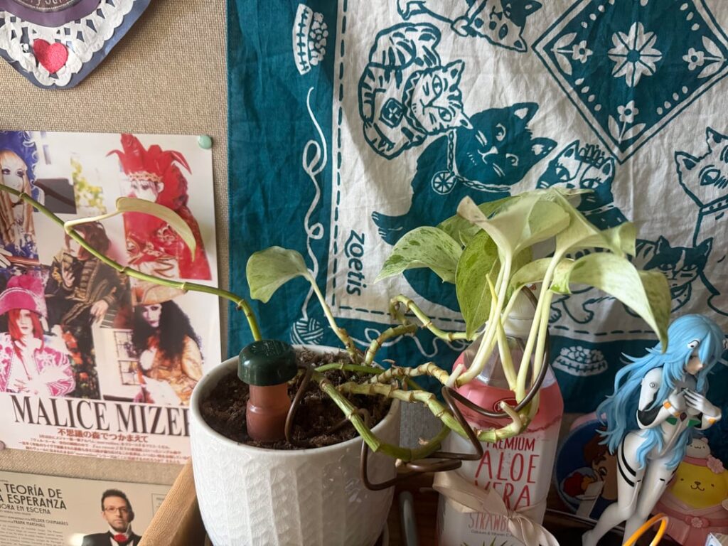 New to Pothos! Need advice!!