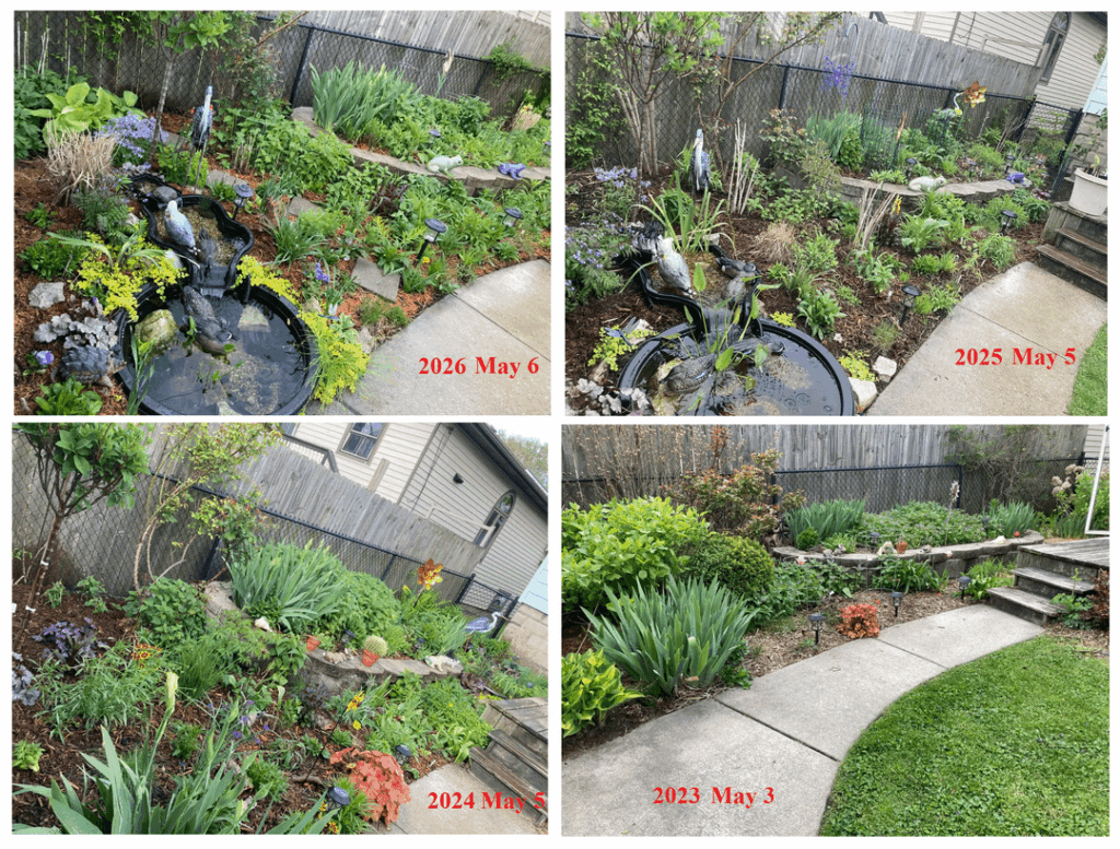 My garden through the years. My garden through the years.