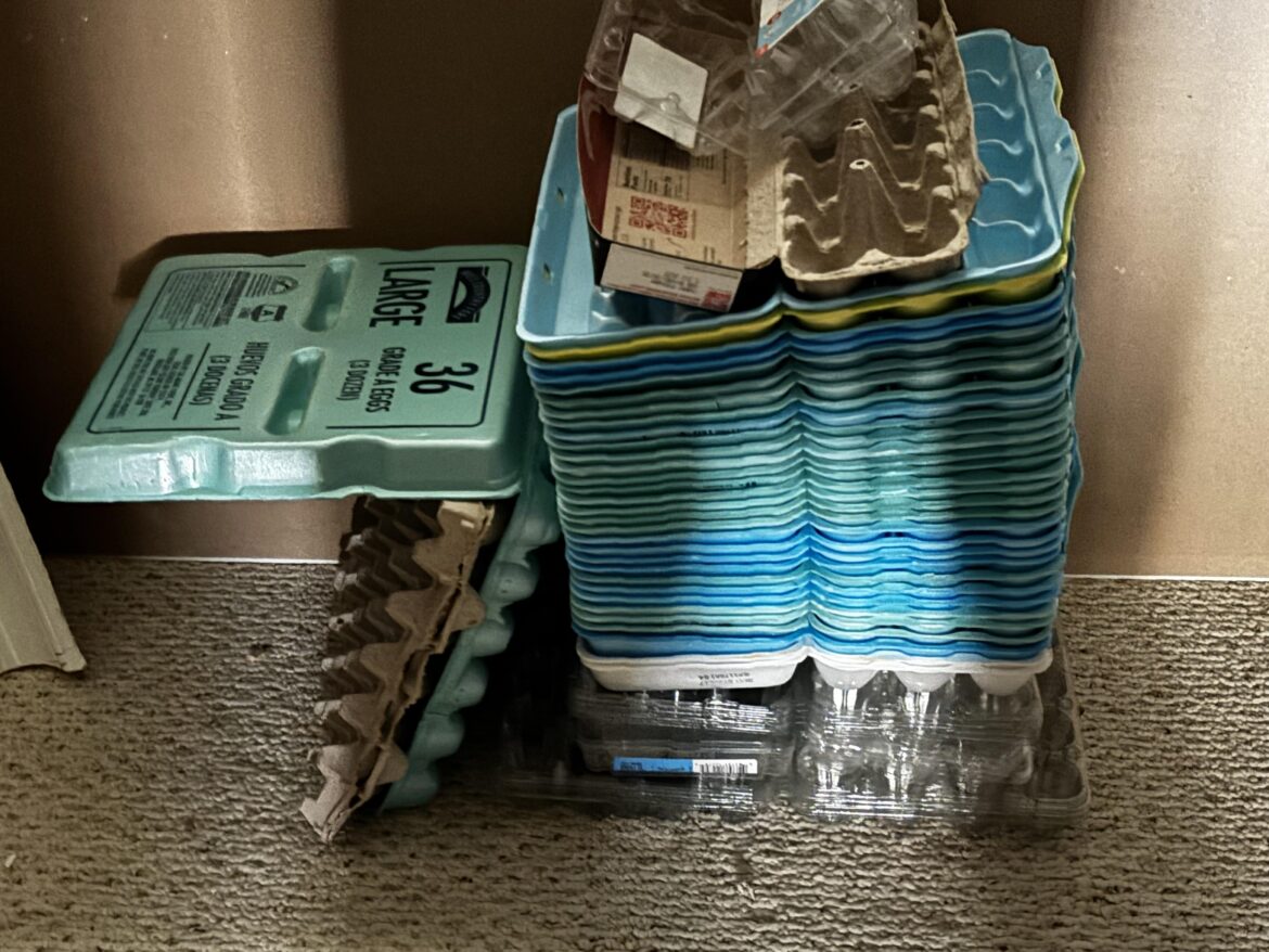 Central Texas, Anyone Need Egg Cartons?