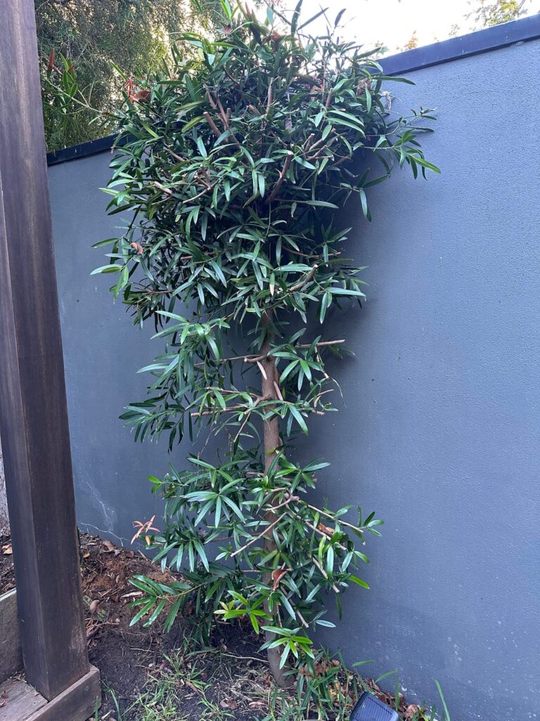 What is this and should we keep it?
