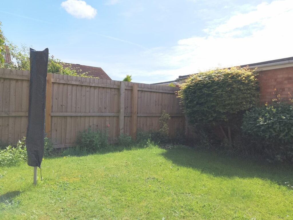 First time ever having a garden, any advice welcome 😁 First time ever having a garden, any advice welcome 😁