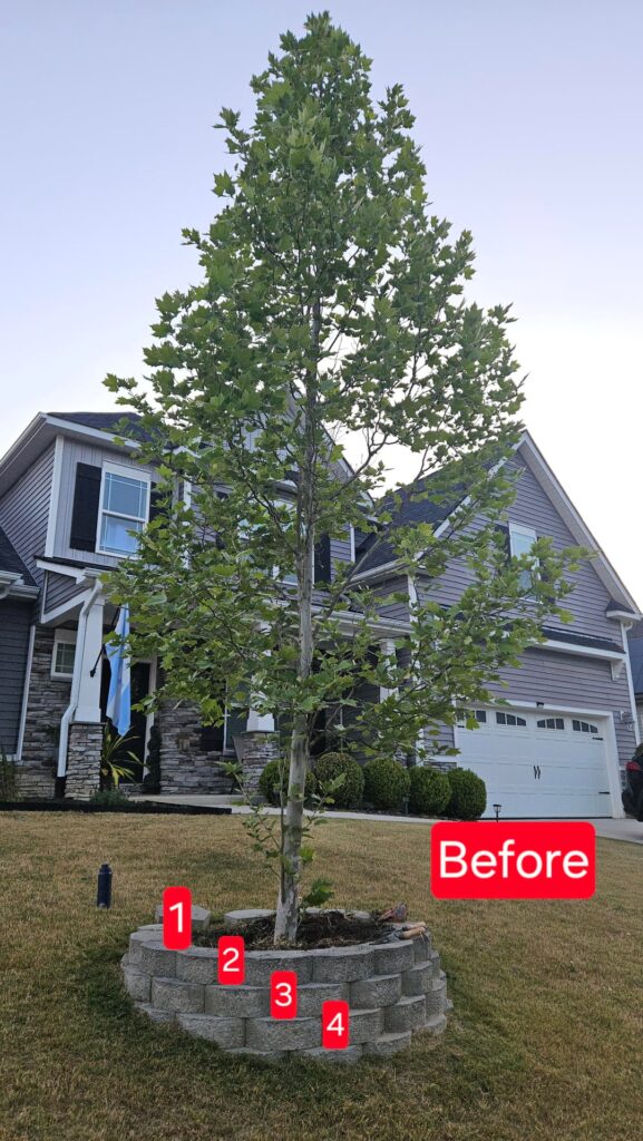 Giving this tree air (previous homeowner fun) Giving this tree air (previous homeowner fun)