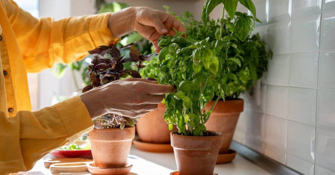 Garden Digest: Events to help you to enjoy your room outside Garden Digest: Events to help you to enjoy your room outside
