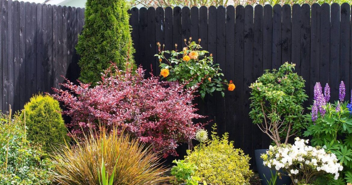 Garden Digest: Events to help you boost the room outside Garden Digest: Events to help you boost the room outside