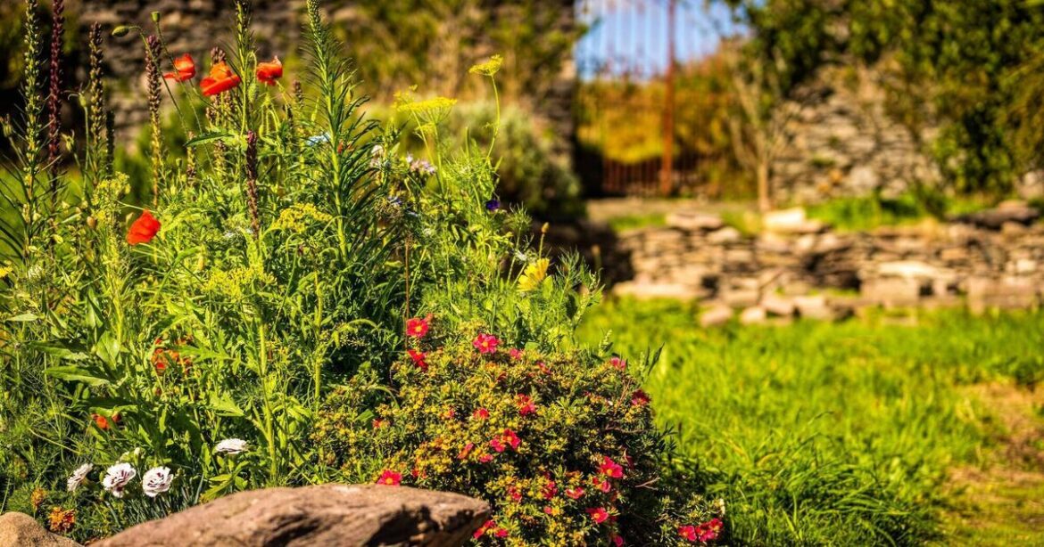 Garden Digest: Events to help you to enjoy your green spaces