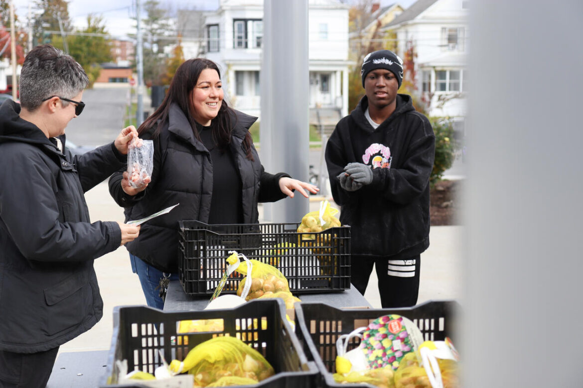 Falcon gardeners bring beautiful blooms
