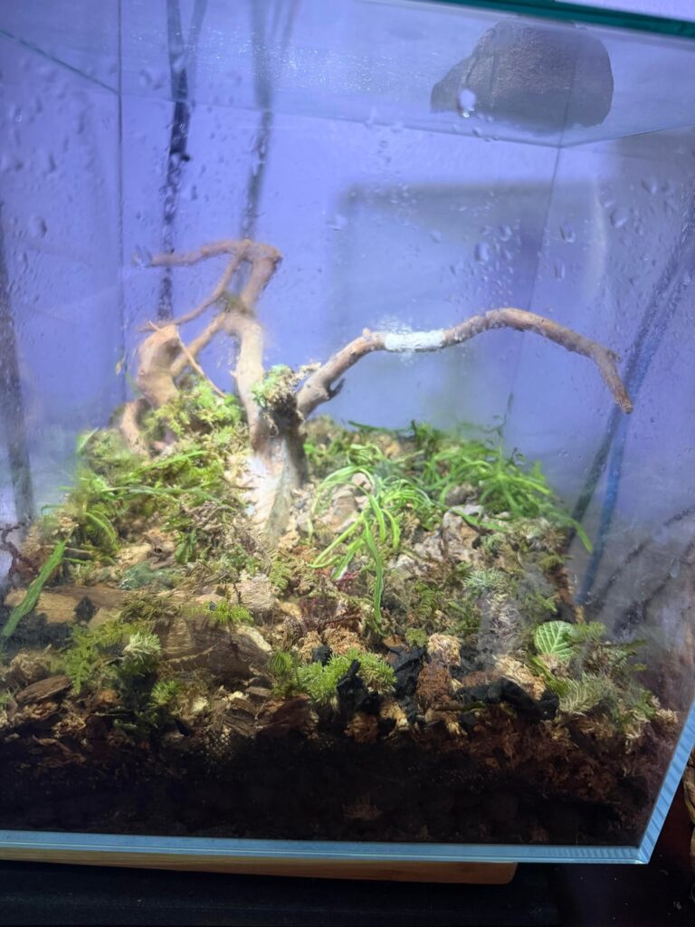 Complete beginner