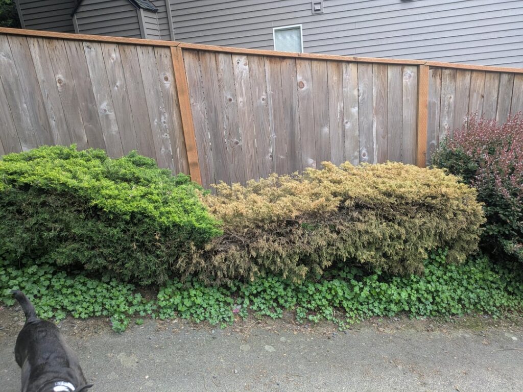 Help! Please?