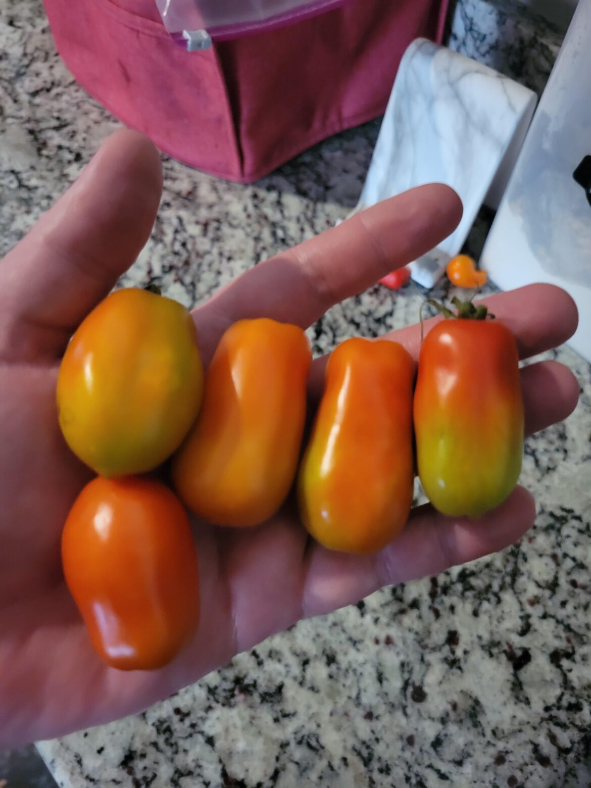 San Marzano