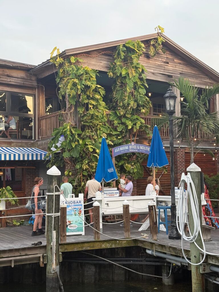 Massive Pothos in key west