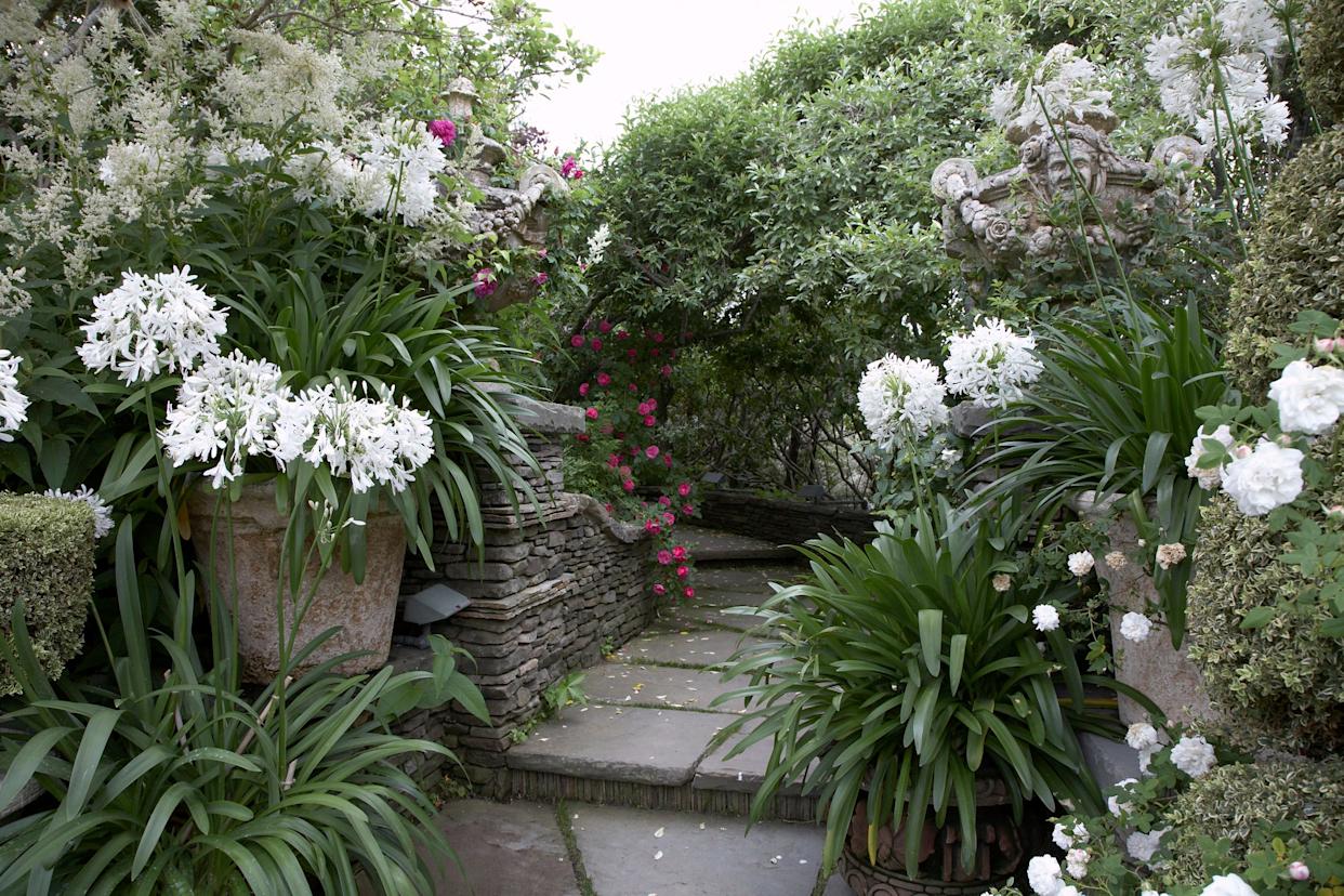 pathway in Hamptons New York Garden
