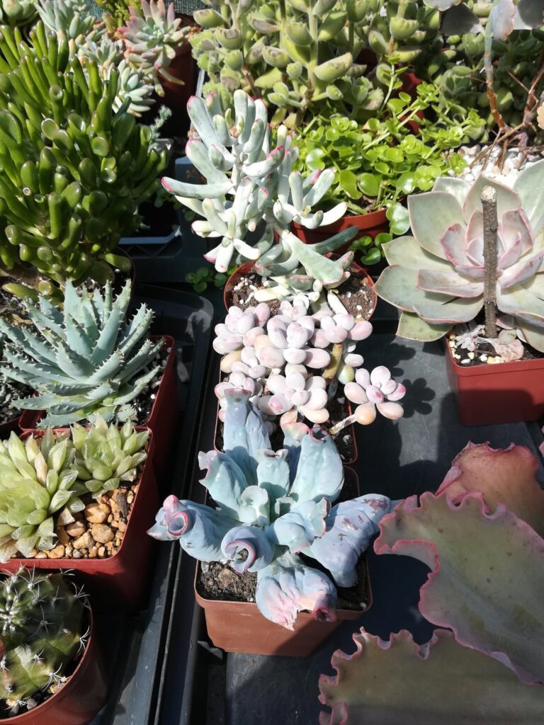 Welcome to your new home