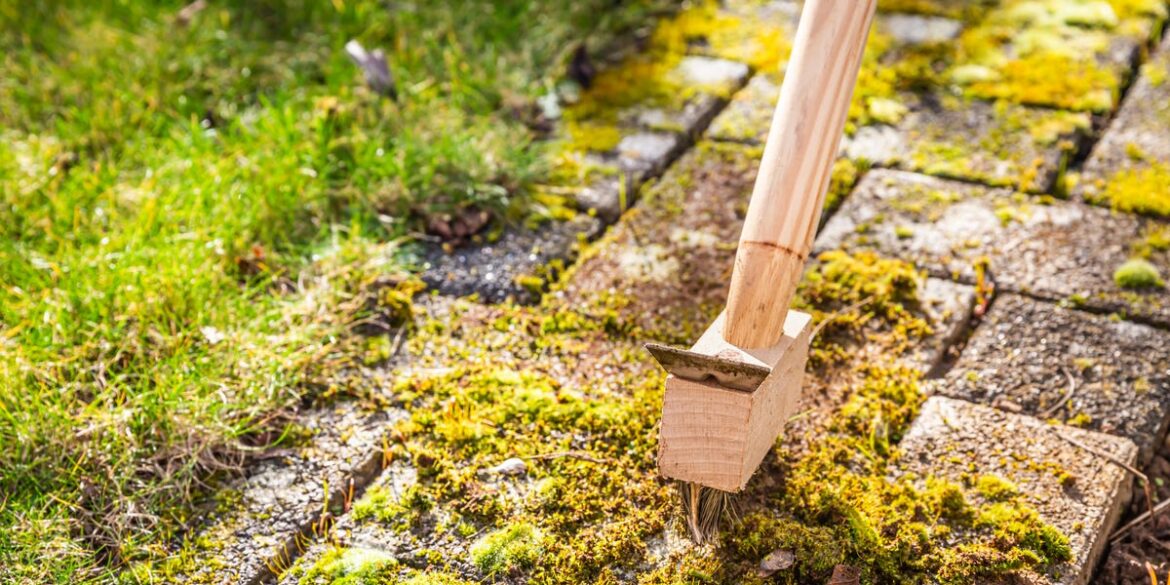 3 Expert-Approved Ways to Remove Moss From Your Patio—and Prevent It From Coming Back 3 Expert-Approved Ways to Remove Moss From Your Patio—and Prevent It From Coming Back