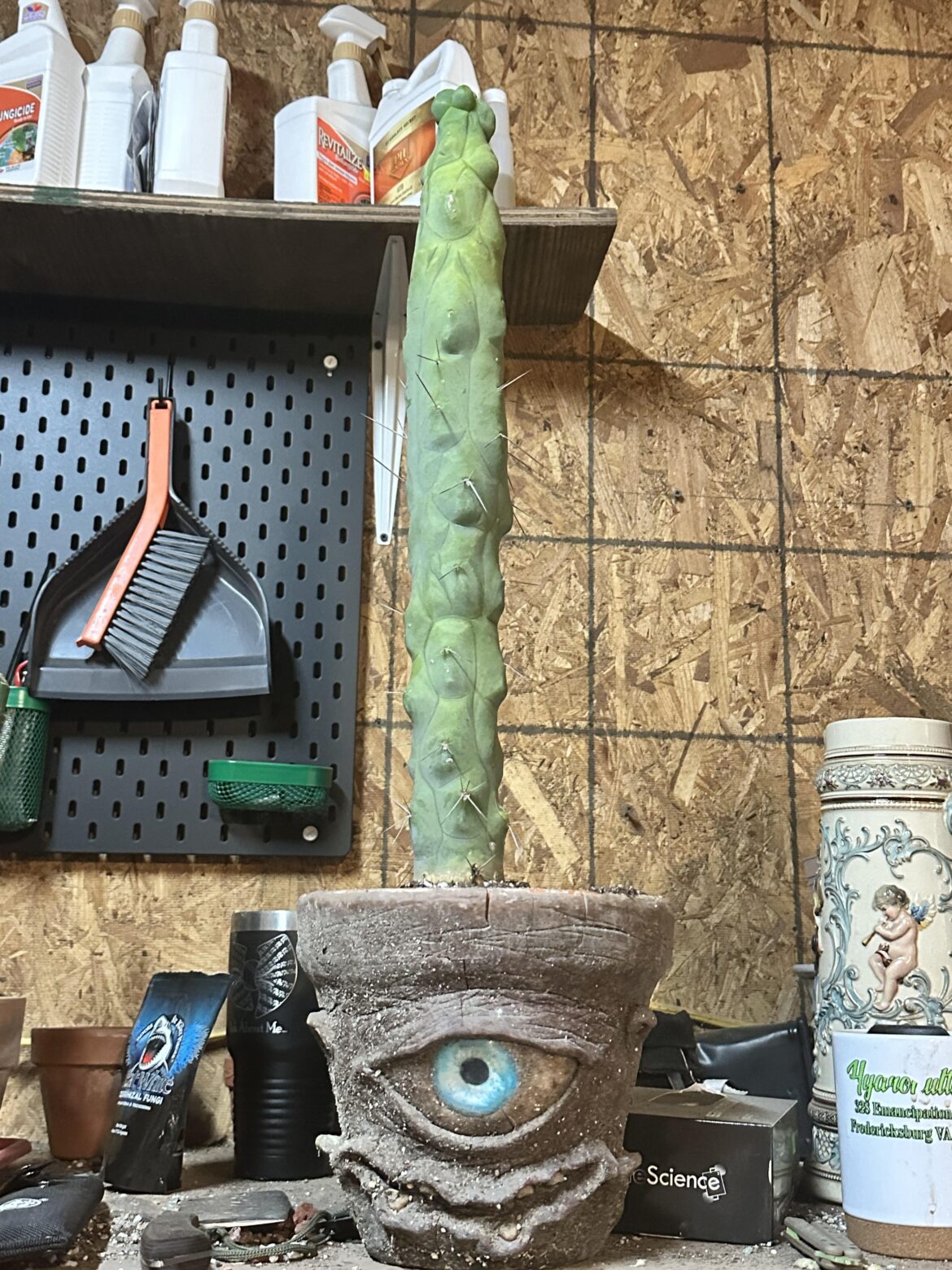 Monster of a Monstrua De Cota Cota