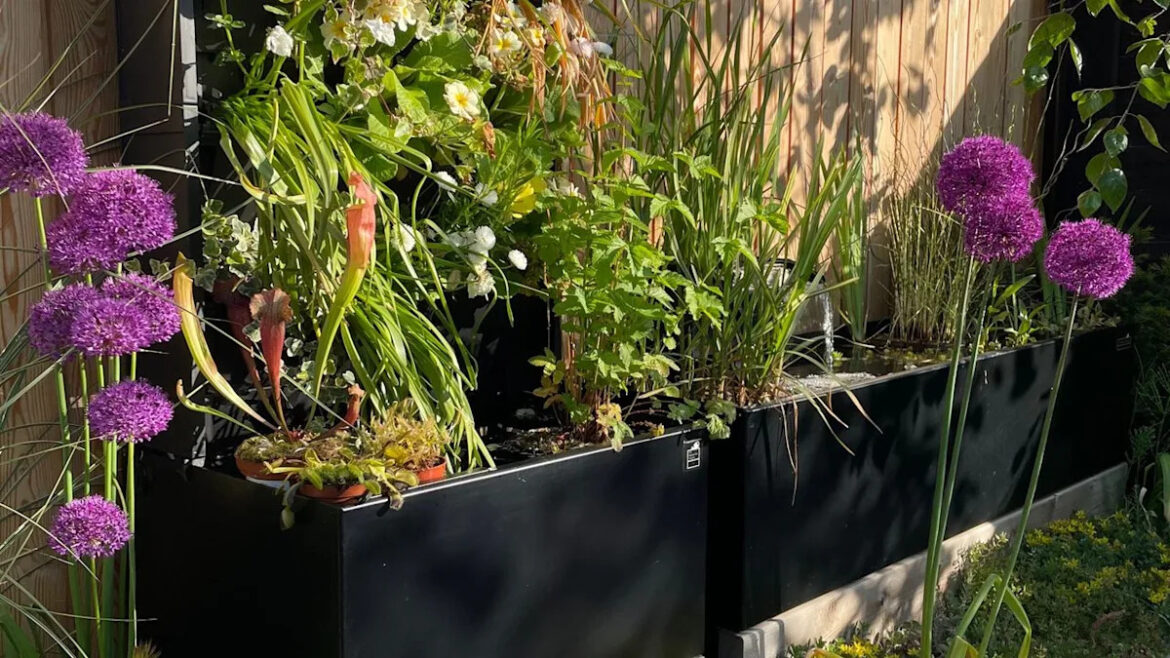 ‘Dipping Tanks’ Are the Beautiful Way to Store Rainwater in Your Garden Yahoo lifestyle home