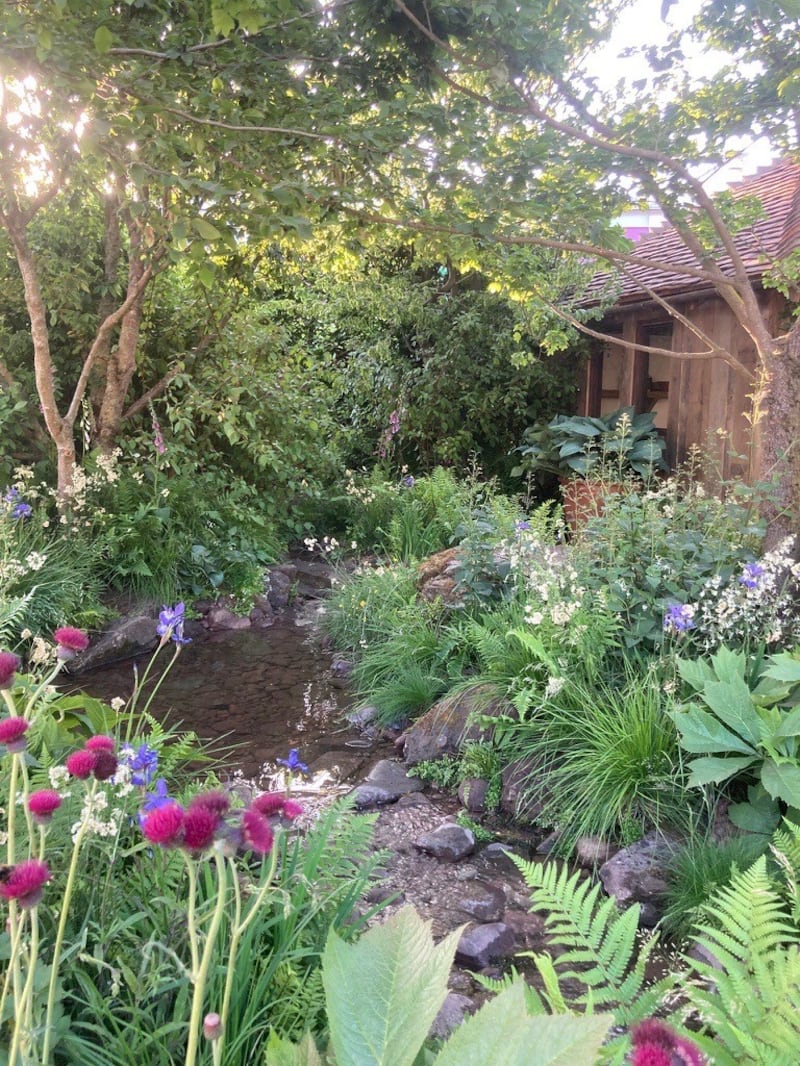 The pond in the dog garden at last year’s Chelsea Flower Show