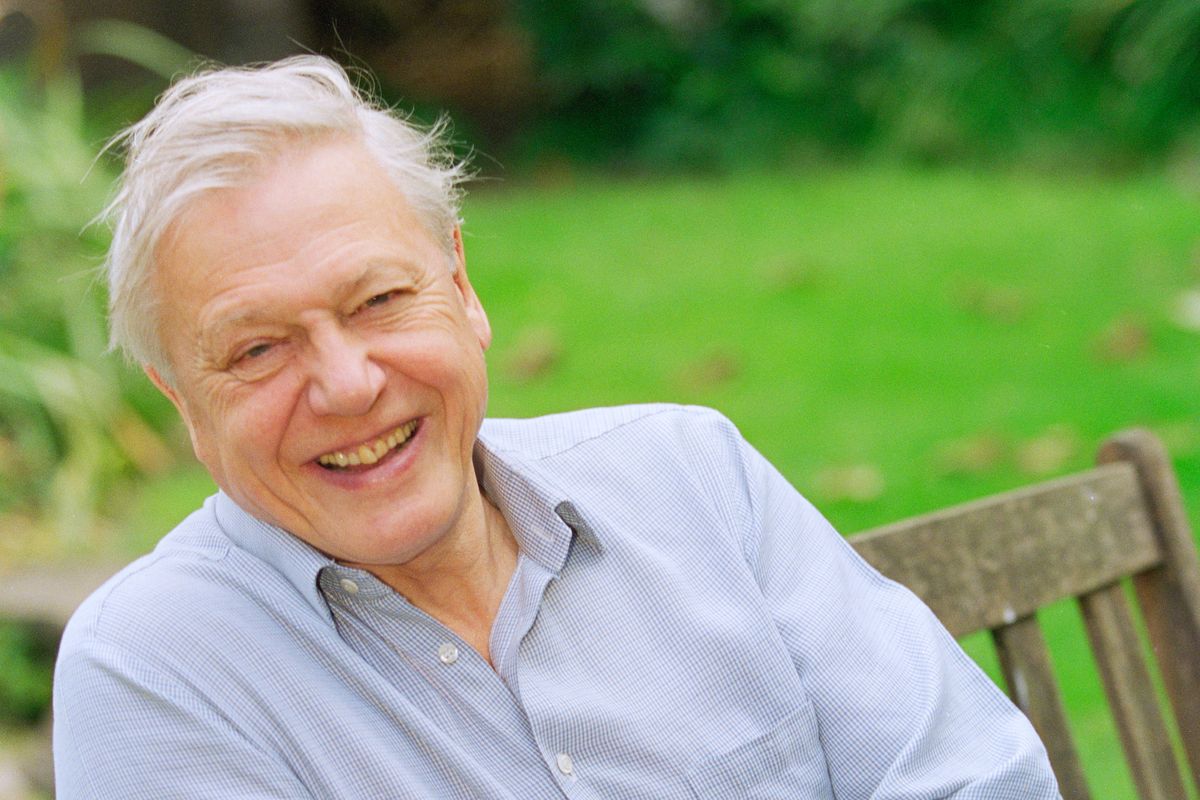 British naturalist and broadcaster David Attenborough in the garden of his home, UK, 21st September 1998. (Photo by Colin Davey/Getty Images)