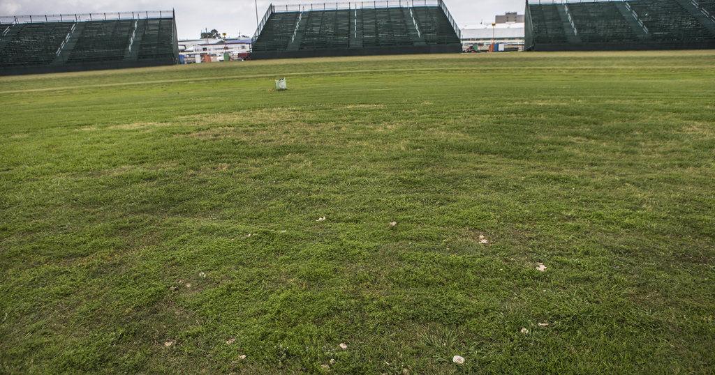What to know about fairy rings, mushroom circles in yard | Home/Garden What to know about fairy rings, mushroom circles in yard | Home/Garden