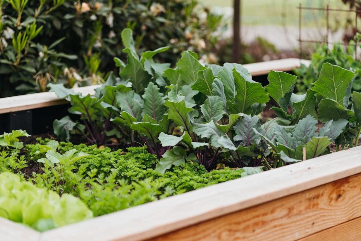 6 Vegetable Gardening Mistakes Beginners Always Make—and What Pros Say to Do Instead