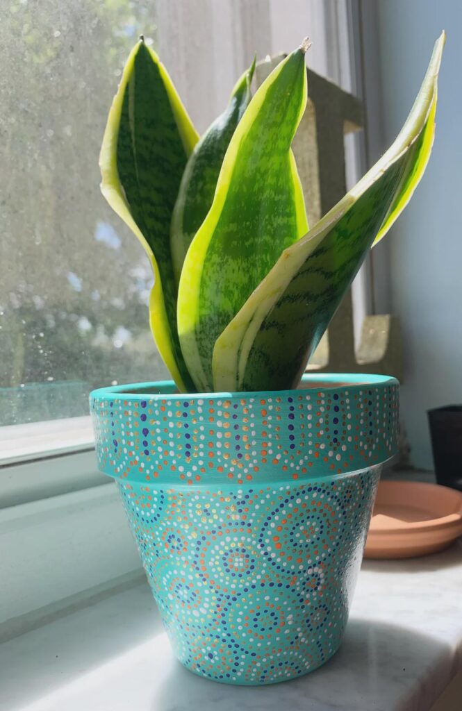 A pot I painted🐾