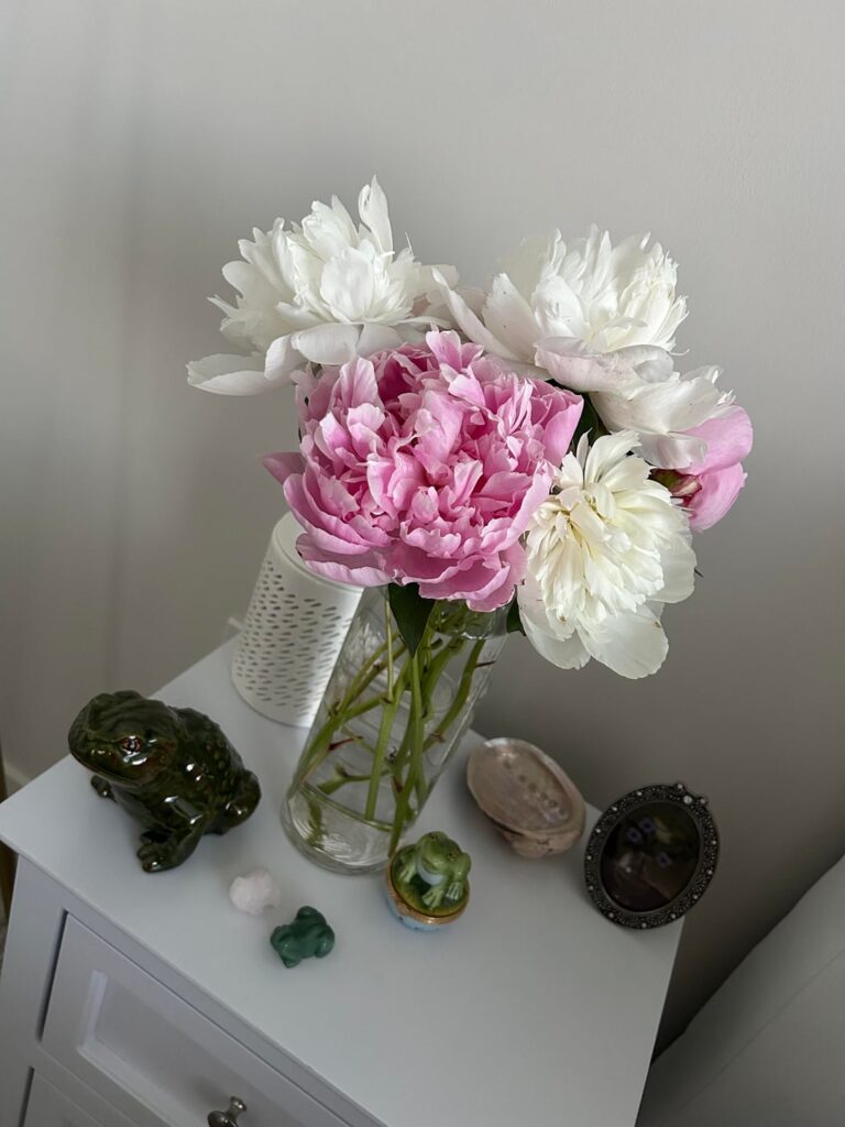 Peonies from my moms garden