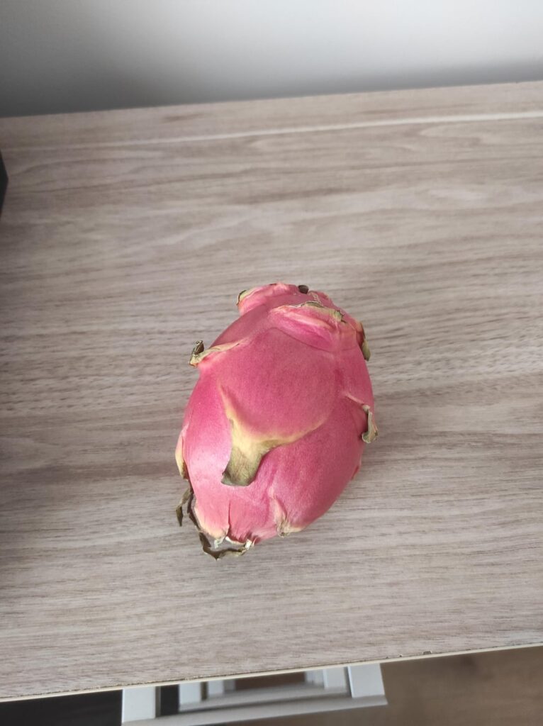 Growing dragon fruit from a seed