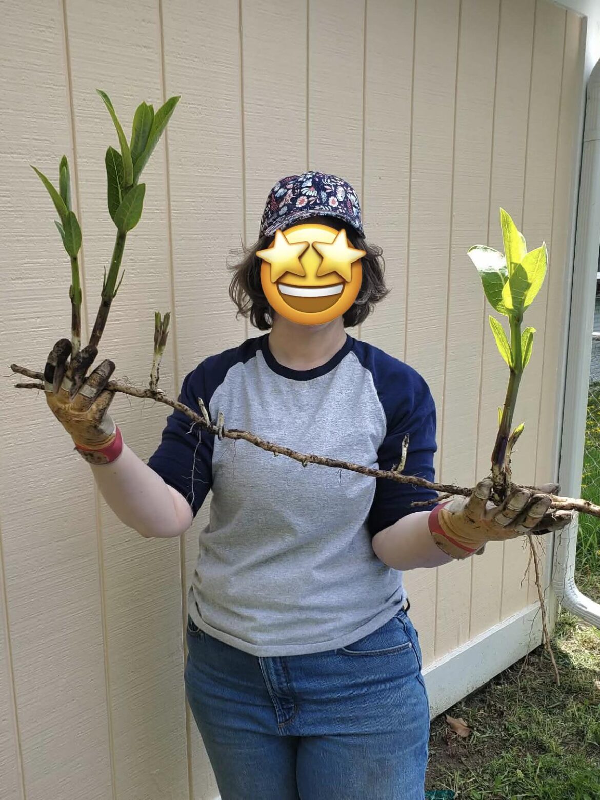 Milkweed runners are no joke! Milkweed runners are no joke!