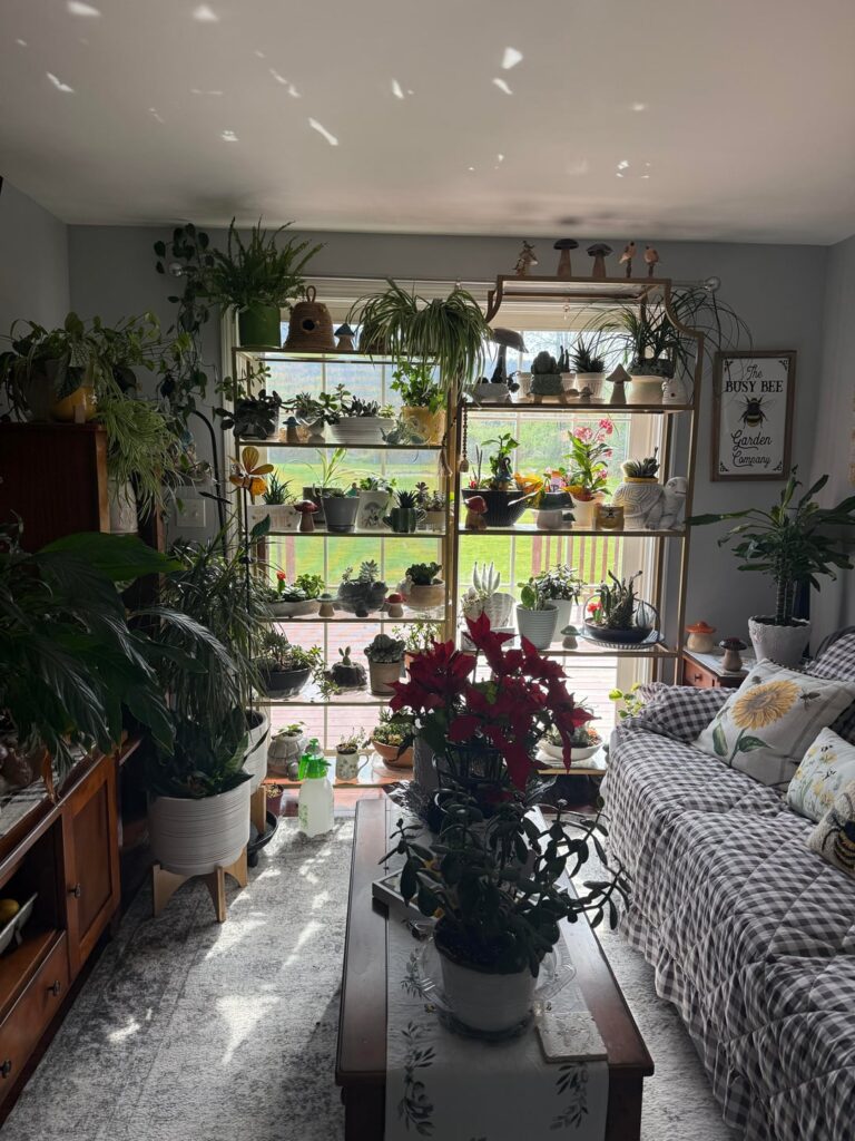 I don’t know if you can tell but i love plants.