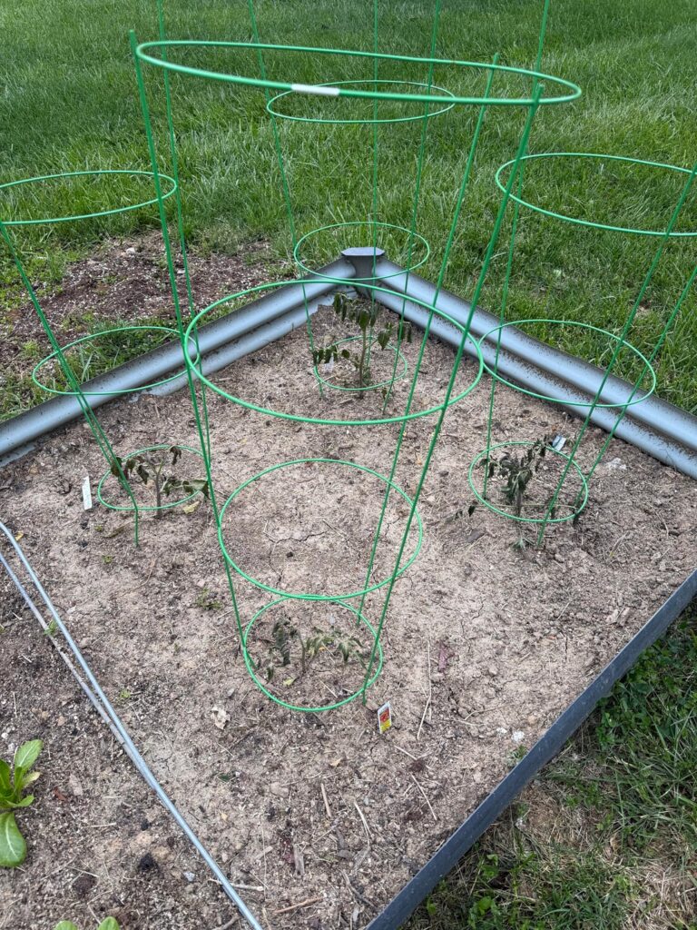 Cold weather damage