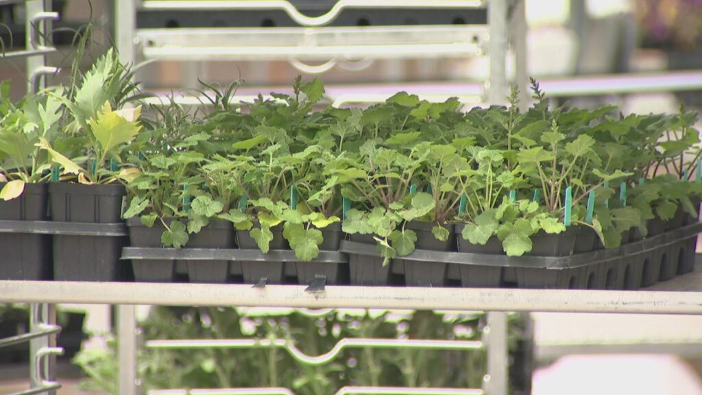 Is it time to start planting your garden?