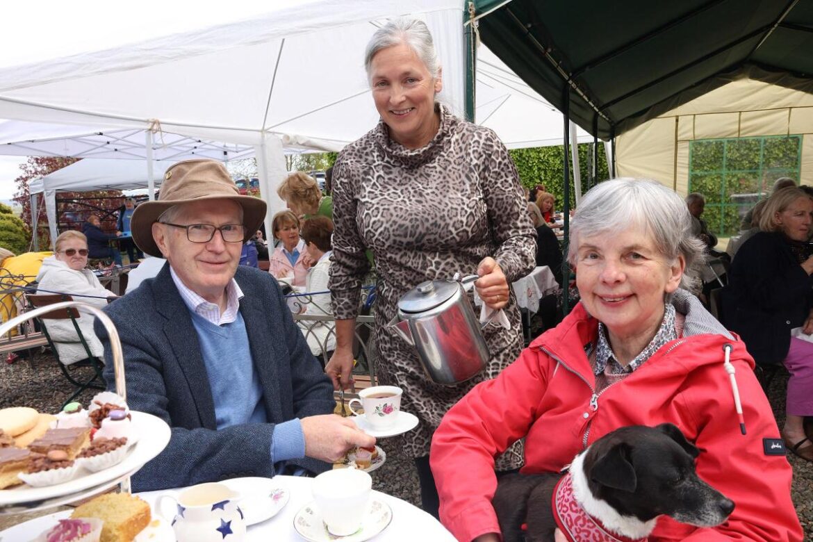 Over 600 visit garden in support of Fermanagh fundraising
