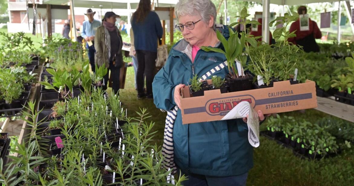 5 things for Lancaster County plant lovers to do in May | Home & Garden 5 things for Lancaster County plant lovers to do in May | Home & Garden