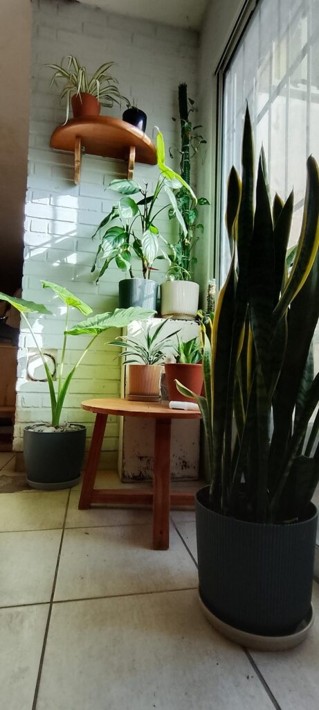 a corner of my house