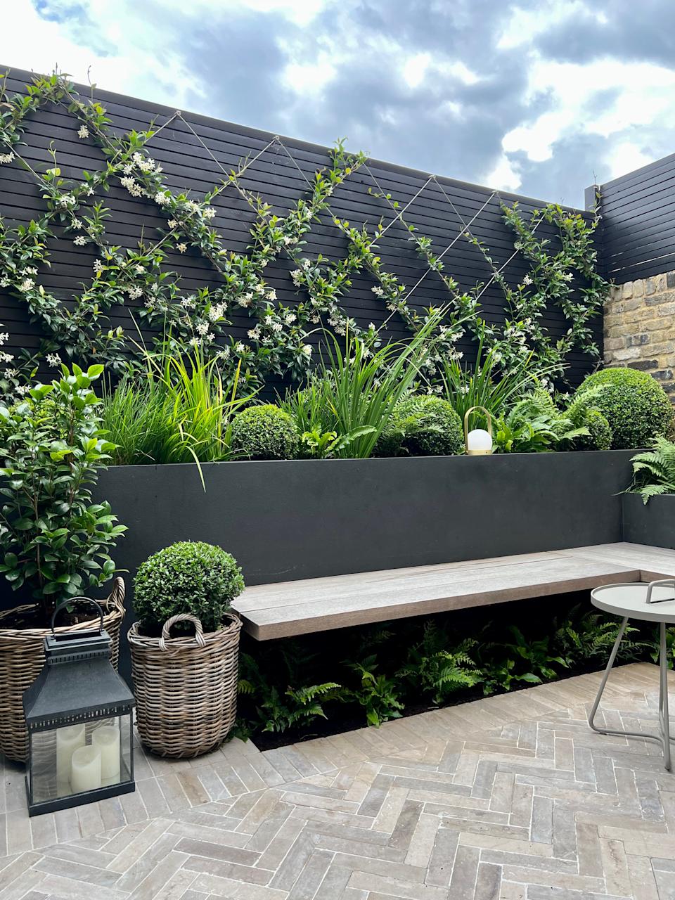 a black painted garden with a floating bench seat underplanted with ferns and a criss cross climbing plant on the walls
