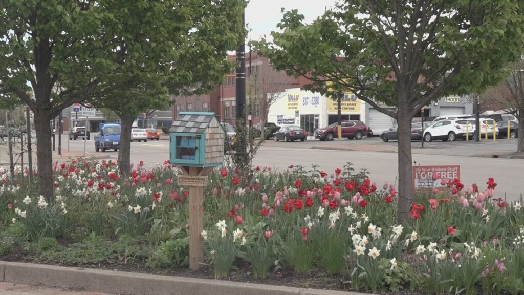 Little Free Seed Library hosting gardening exchange in Buffalo Little Free Seed Library hosting gardening exchange in Buffalo