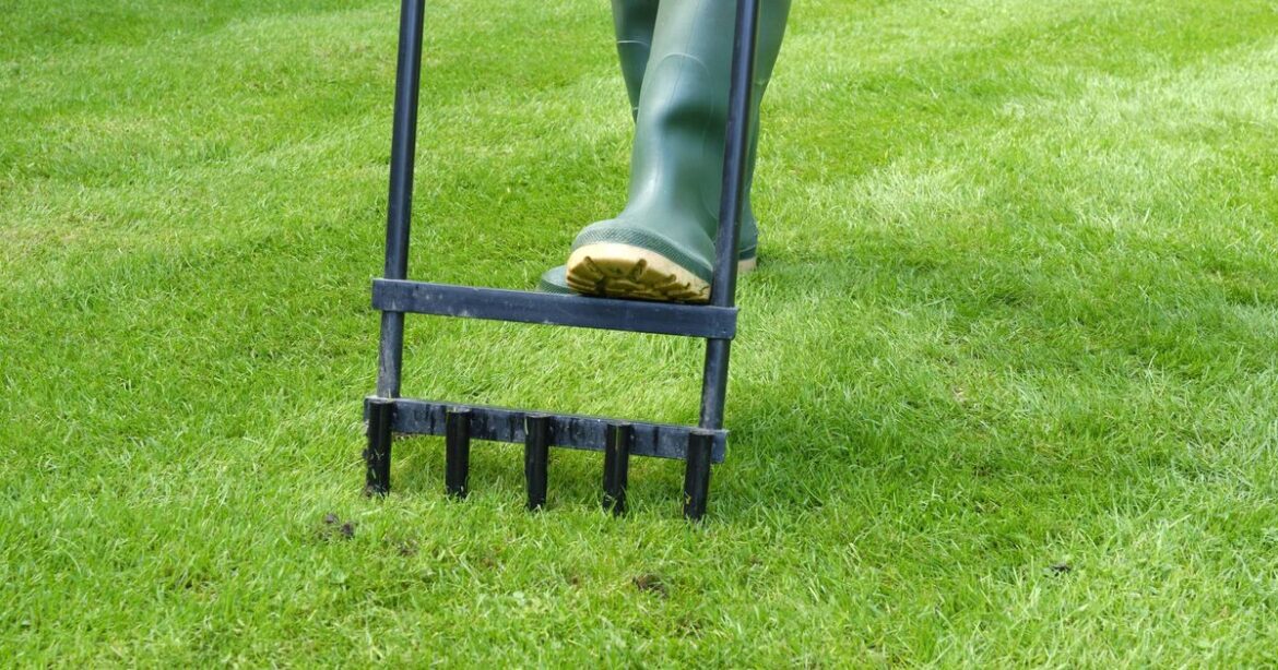 How to grow healthier and thicker lawn with weeds growing How to grow healthier and thicker lawn with weeds growing