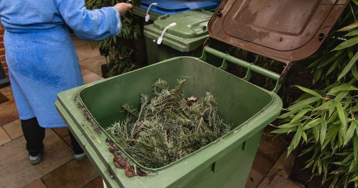 10 garden items banned from waste bins under new rules 10 garden items banned from waste bins under new rules