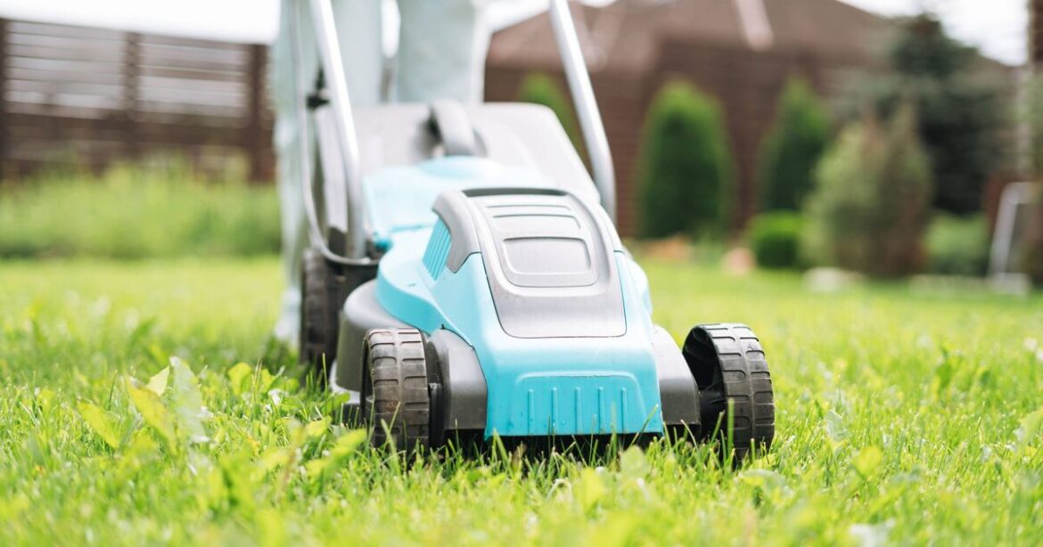 How to grow lush green lawns in summer How to grow lush green lawns in summer