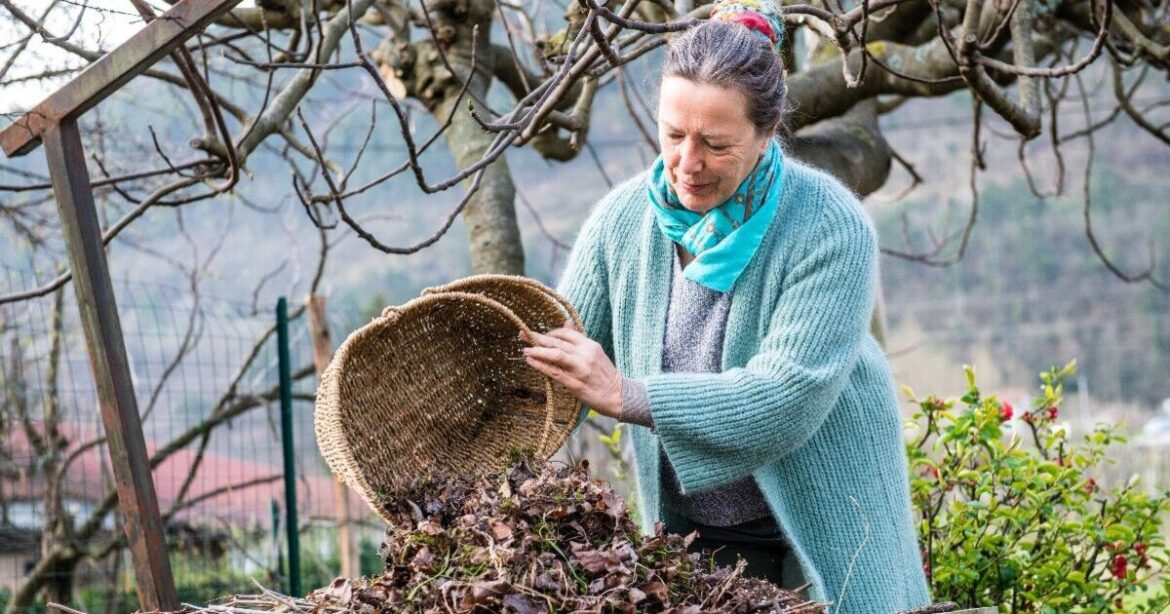 4 garden waste options for UK households without a bin | UK | News