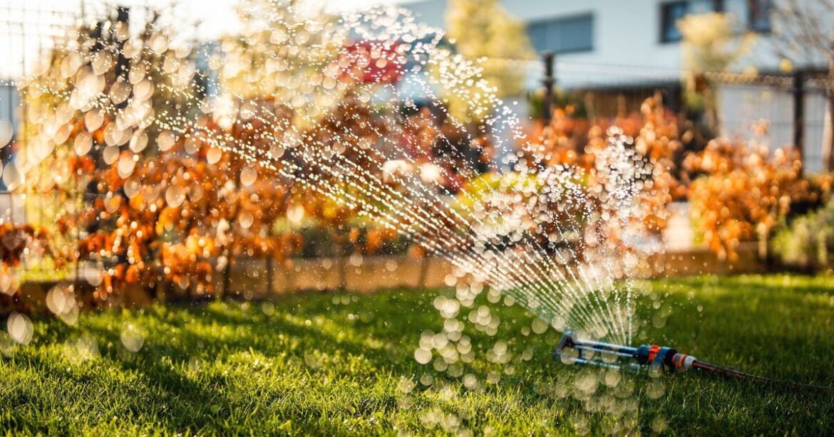 Lawns will be green and lush if you complete simple garden task now Lawns will be green and lush if you complete simple garden task now