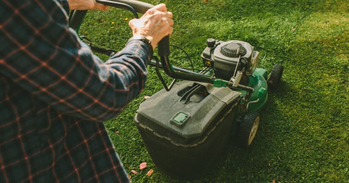 Gardening expert reveals one exception to No Mow May rule to ‘keep lawn healthy’ Gardening expert reveals one exception to No Mow May rule to 'keep lawn healthy'