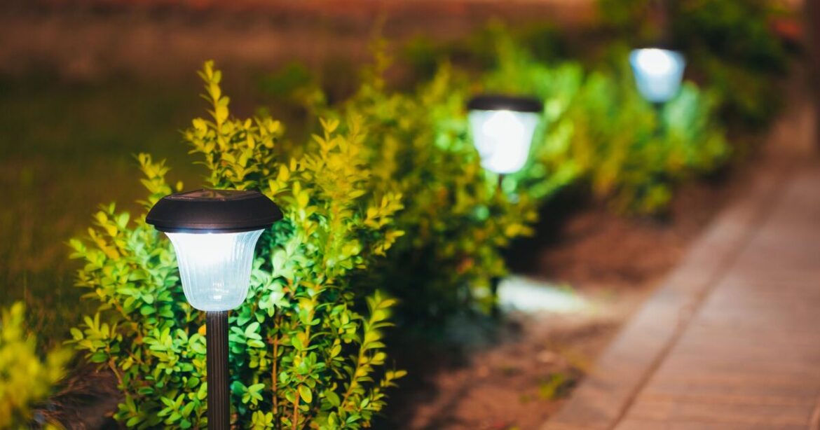 Solar-powered lights in your garden may not last as long as you hope Solar-powered lights in your garden may not last as long as you hope