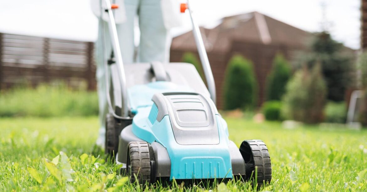 Lawns will be greener and thicker in May with Alan Titchmarsh’s mowing method Lawns will be greener and thicker in May with Alan Titchmarsh's mowing method
