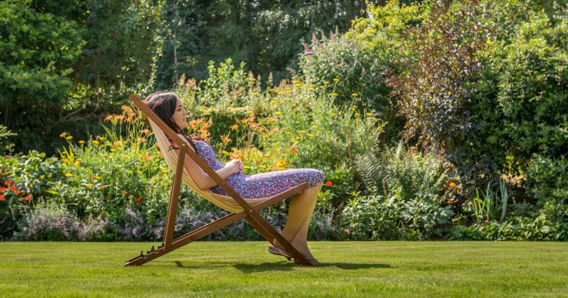 Gardeners love fast-growing grass seed as results show in 2 weeks Gardeners love fast-growing grass seed as results show in 2 weeks