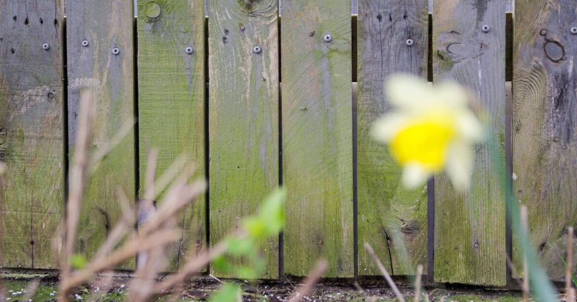 How to clean fence and remove stains without pressure washer